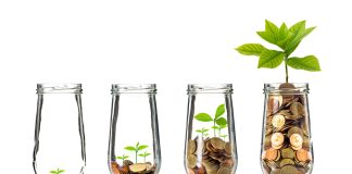 Novo Wealth Confirmed Growing Awareness of Responsible Investing
