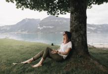 How To Keep Trees Healthy On Your Property