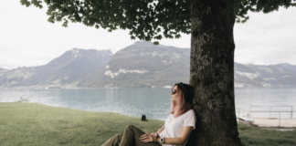 How To Keep Trees Healthy On Your Property