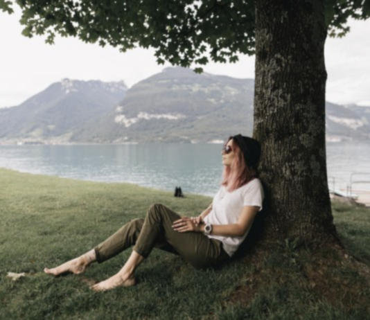 How To Keep Trees Healthy On Your Property