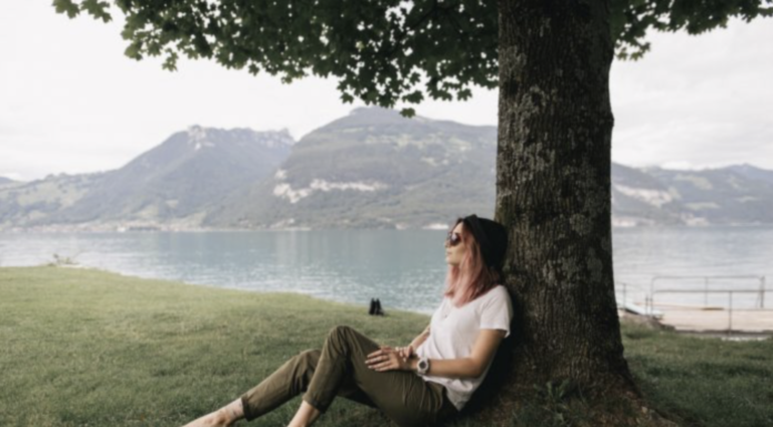 How To Keep Trees Healthy On Your Property