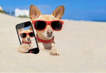 How to Protect Your Phone While Exploring Beaches and Parks