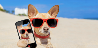 How to Protect Your Phone While Exploring Beaches and Parks