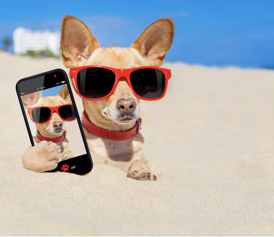How to Protect Your Phone While Exploring Beaches and Parks