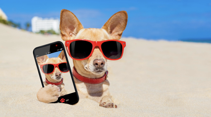 How to Protect Your Phone While Exploring Beaches and Parks